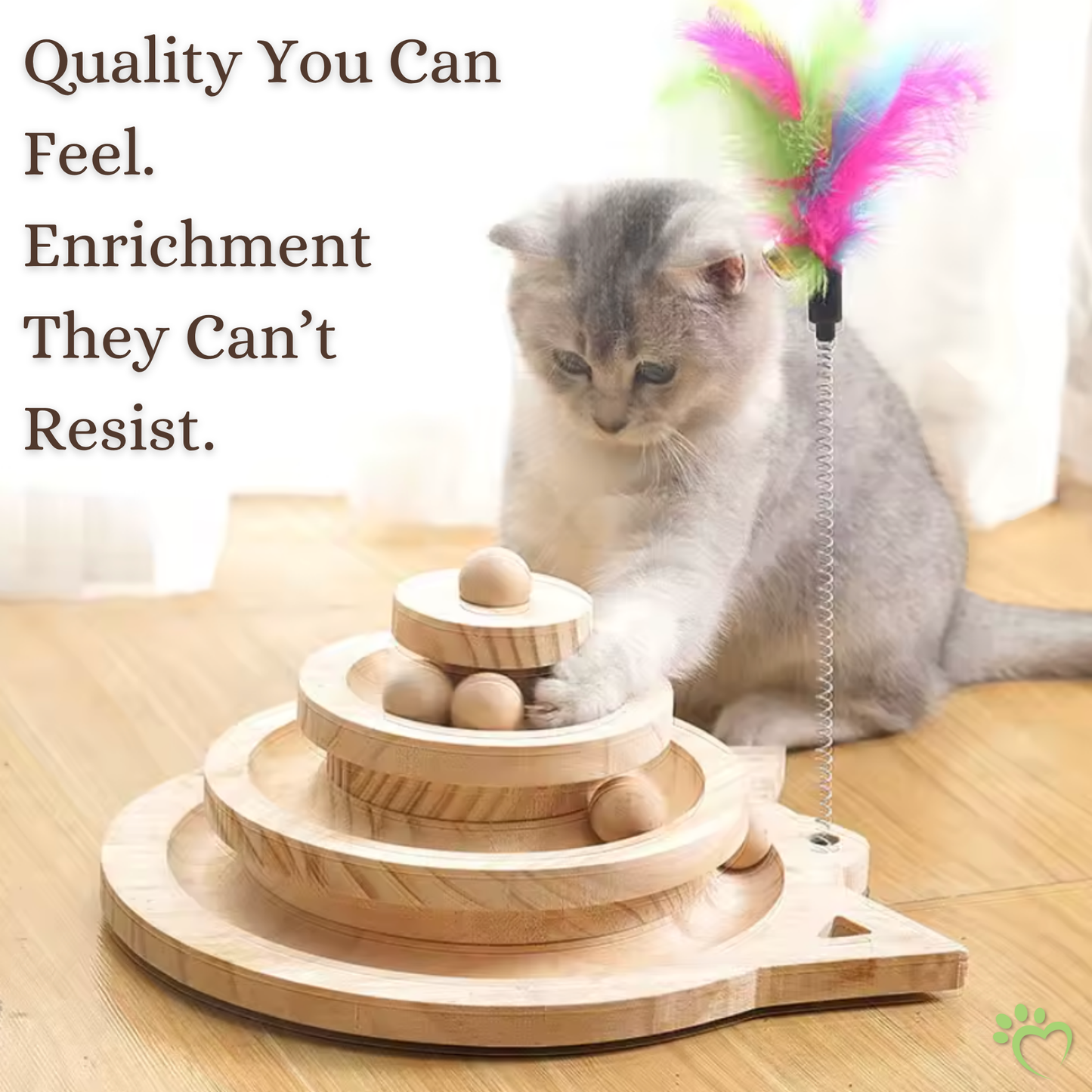 SpinSage Cat Turntable