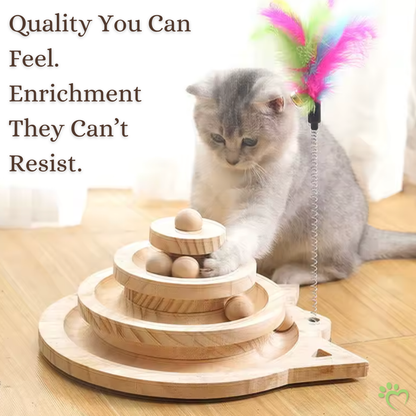 SpinSage Cat Turntable