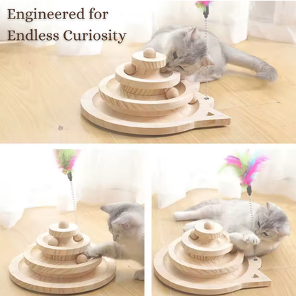 SpinSage Cat Turntable