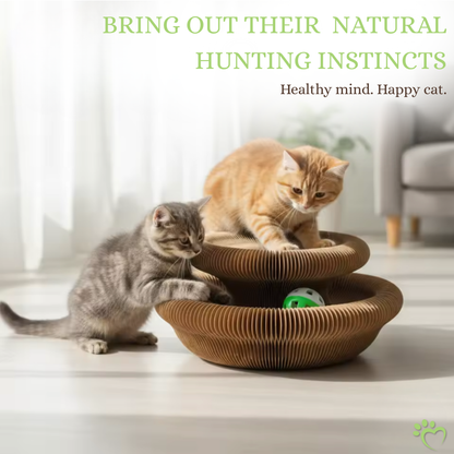 Lil' Hunter's Halo Accordion