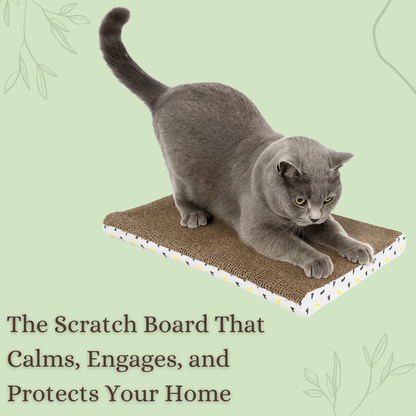 Cat Nip Scratch Board