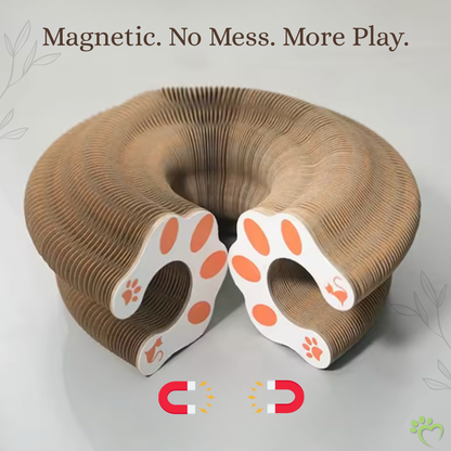 Lil' Hunter's Halo Accordion