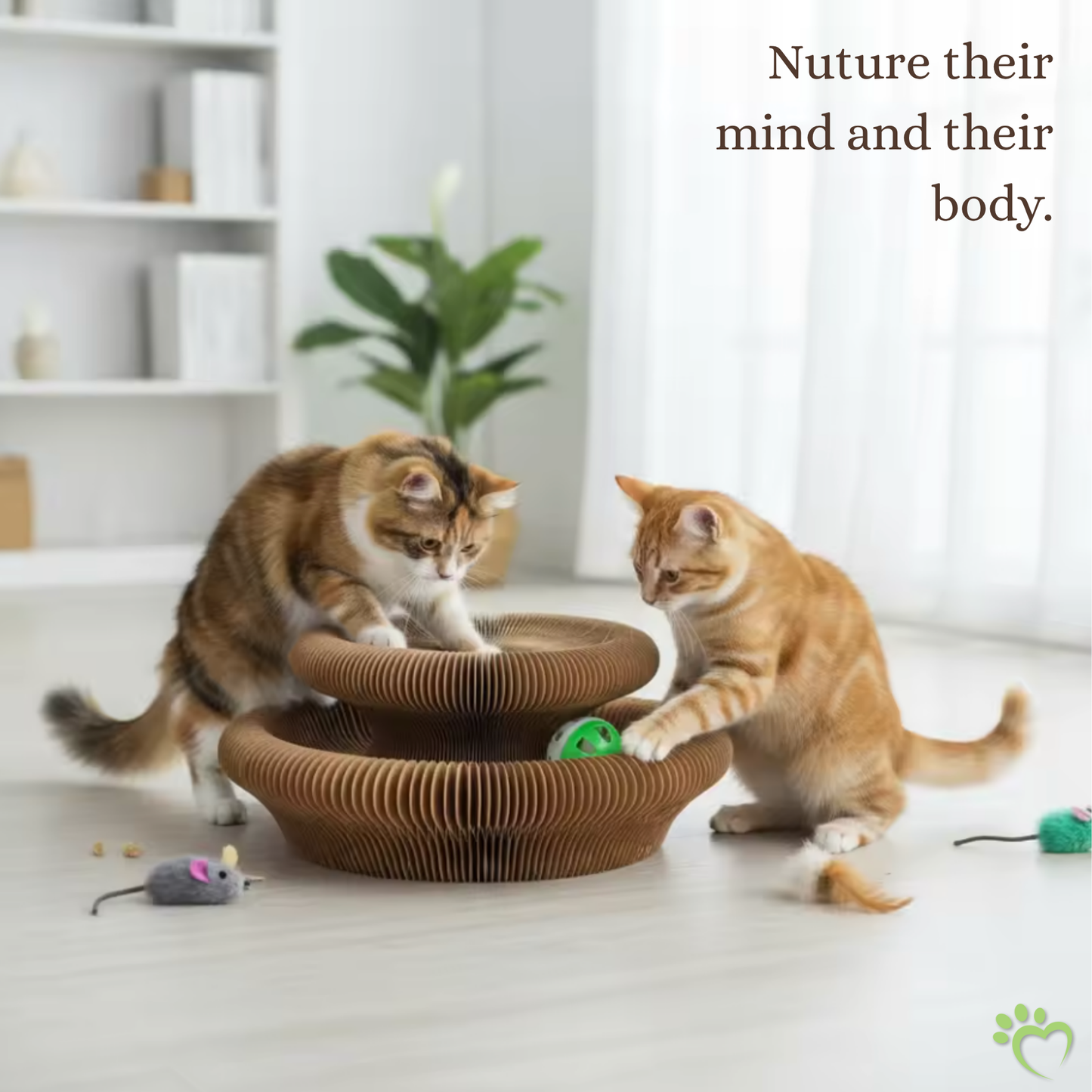 Lil' Hunter's Halo Accordion